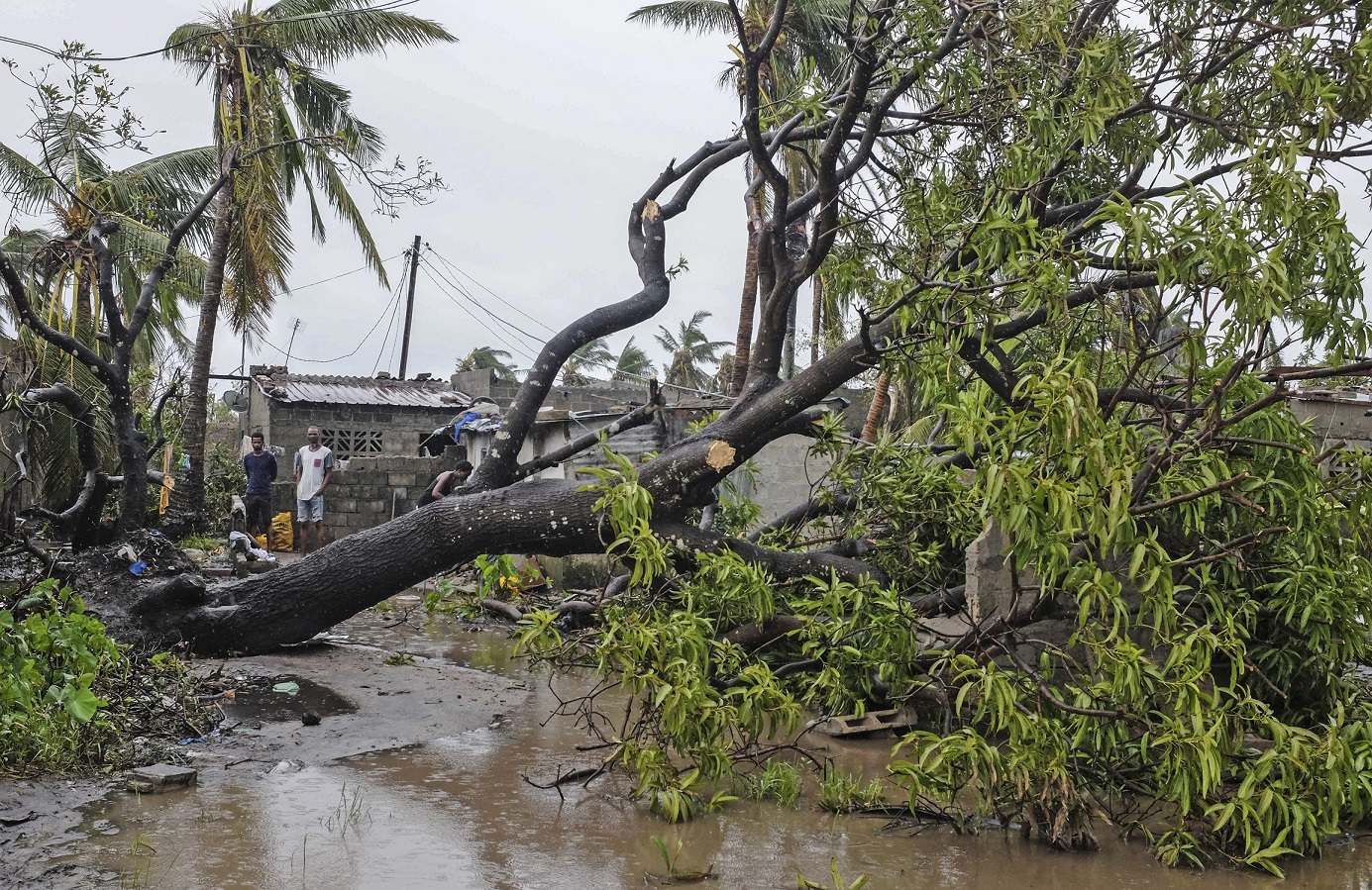 Beira City In Deficit Of $32m To Replenish Coastal Protection • 360 