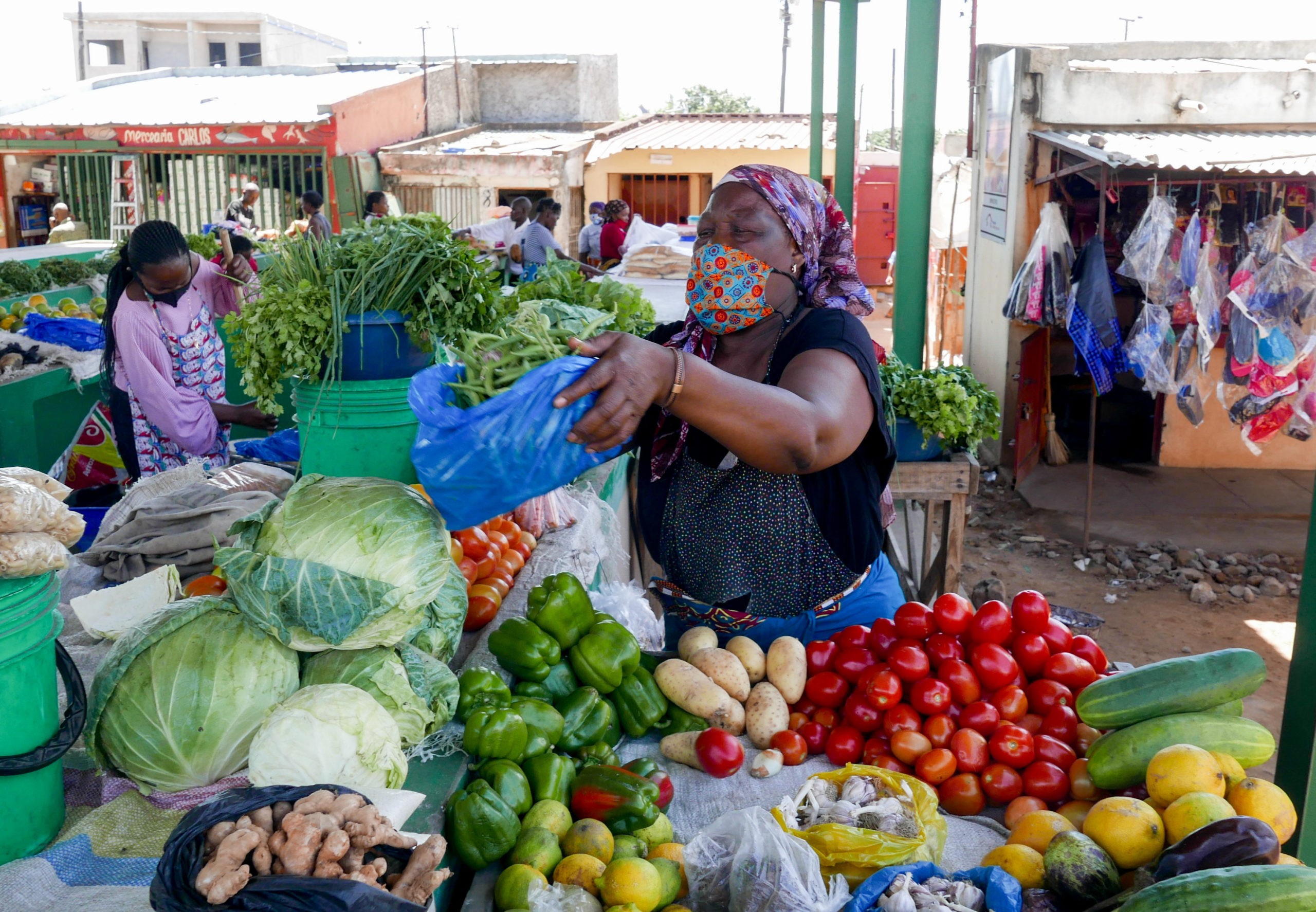 INE Conducts Informal Sector Survey in Mozambique Sixteen Years Later ...